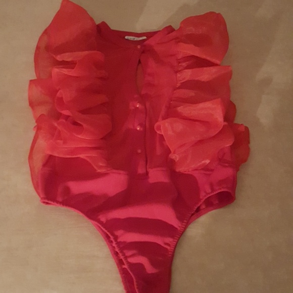 Bodysuit - Picture 2 of 2